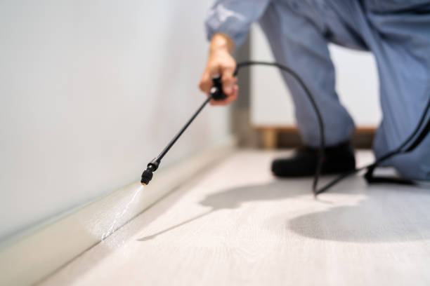 Licensed Pest Control service in Violet, LA - Show Me Pest Control