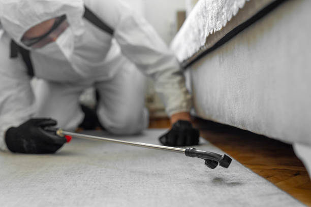 Professional Ant Control technician working in Violet, LA