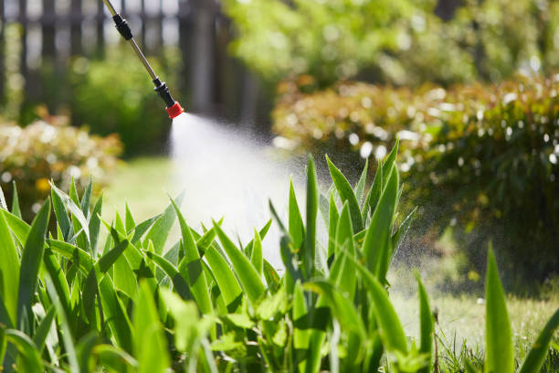 24/7 Emergency Wasp Removal experts in Violet, LA
