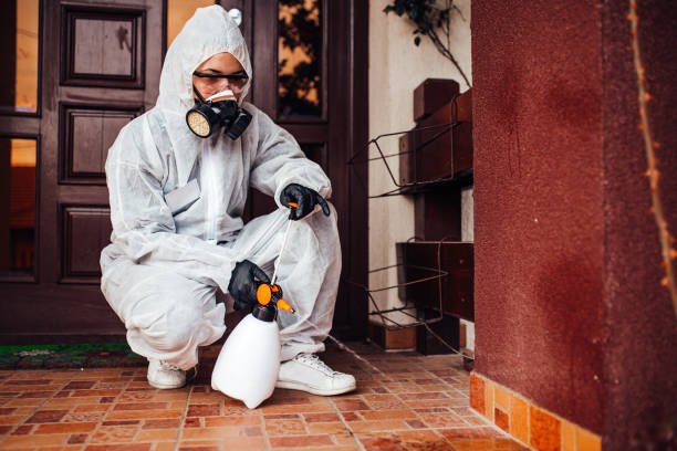 Reliable Wasp Removal contractor in Violet, LA by Show Me Pest Control
